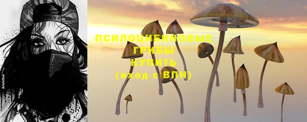 таблы Михайлов