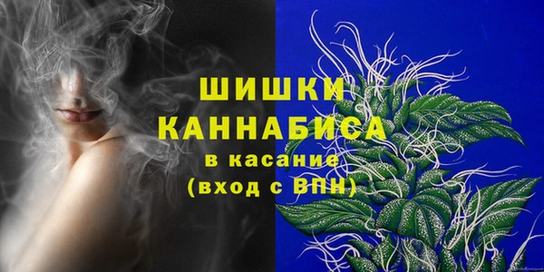 прущие грибы Арсеньев