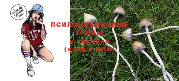 ALPHA PVP Михайловка