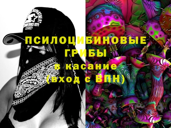 СК Аркадак