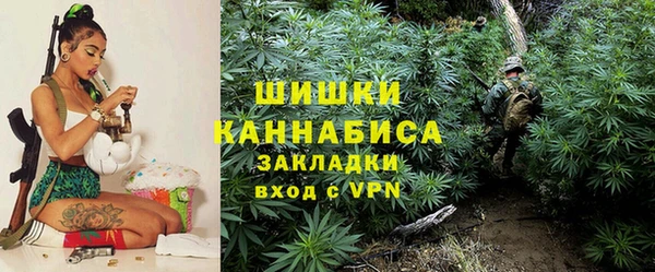 прущие грибы Арсеньев